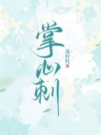掌门女婿电视剧